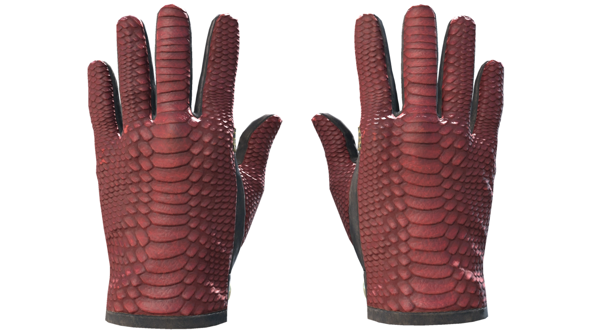 Dragon Fists image