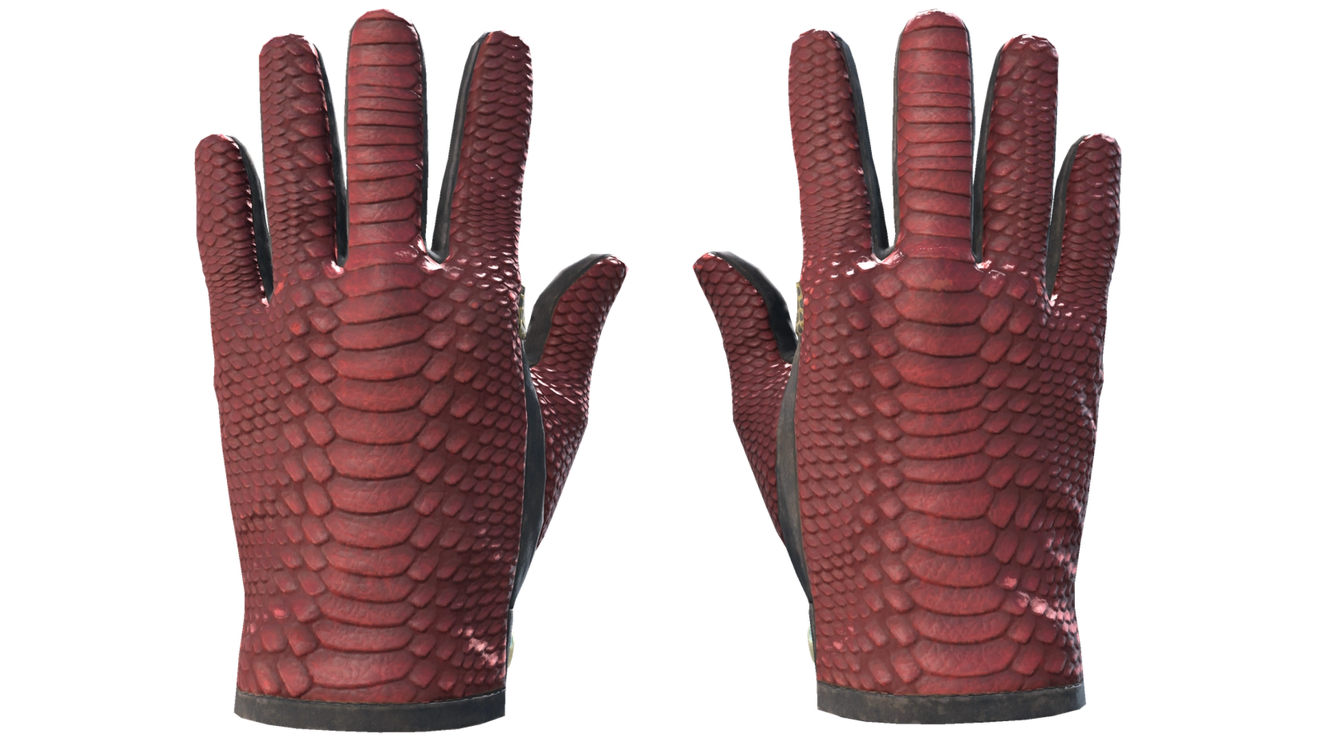 Dragon Fists image
