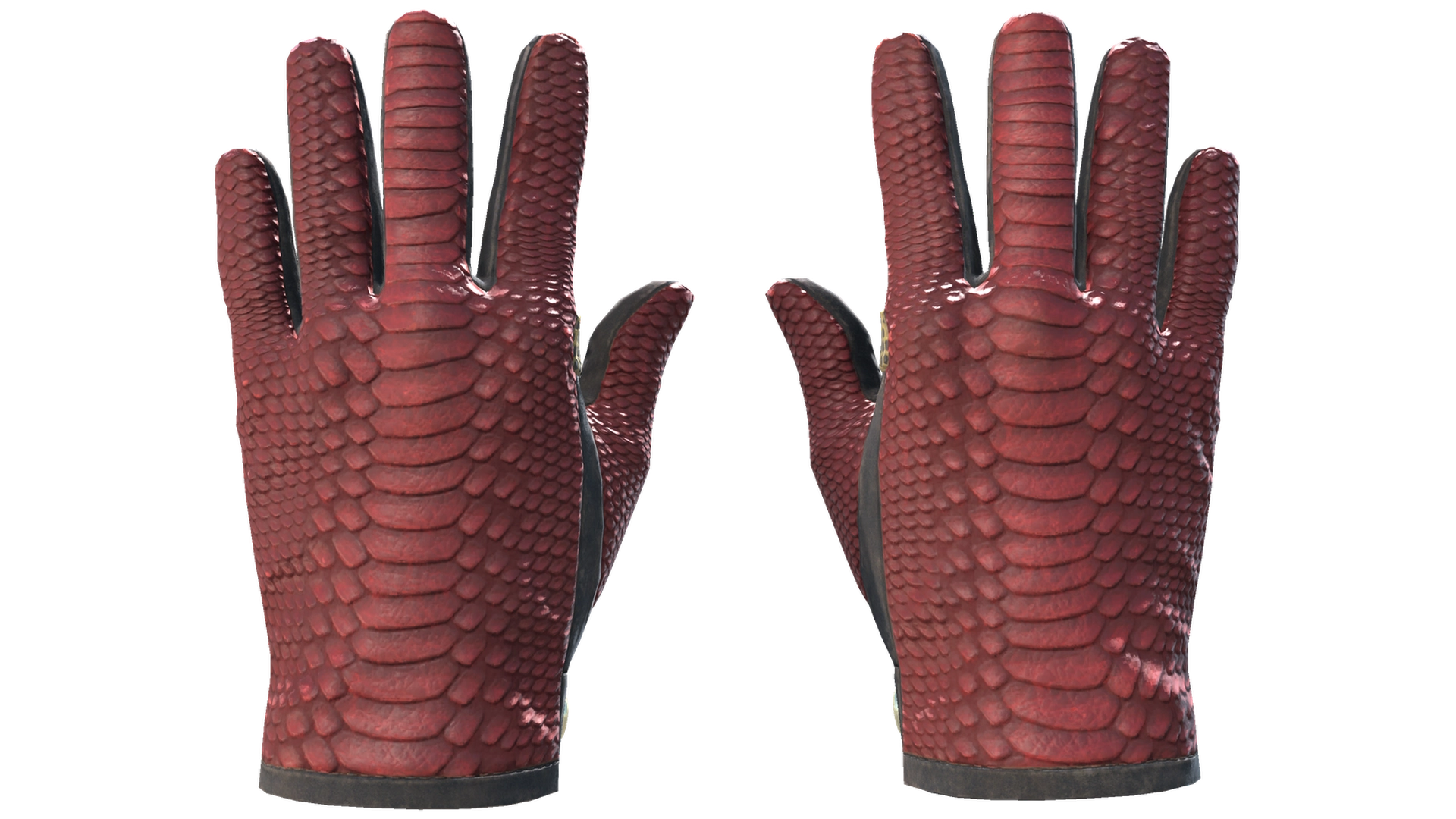 Dragon Fists image