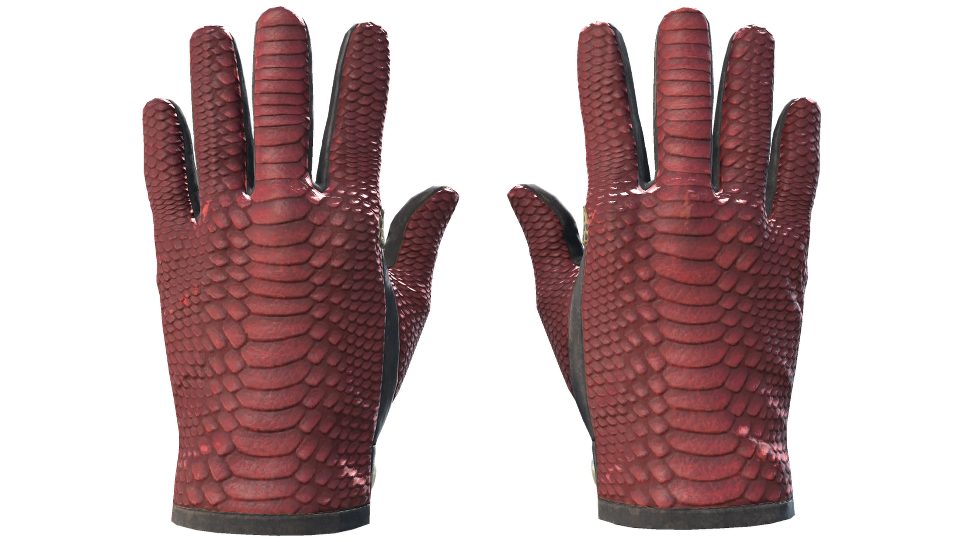 Dragon Fists image