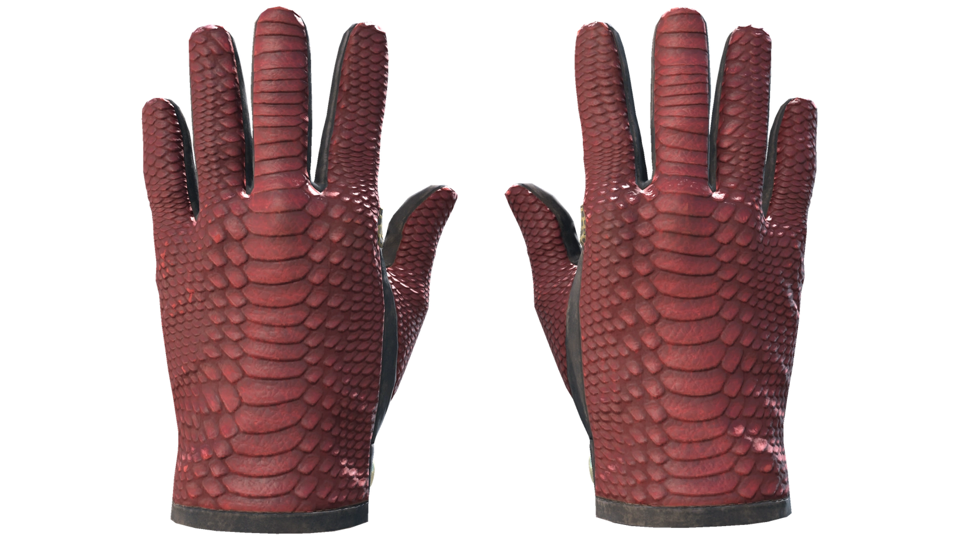 Dragon Fists image