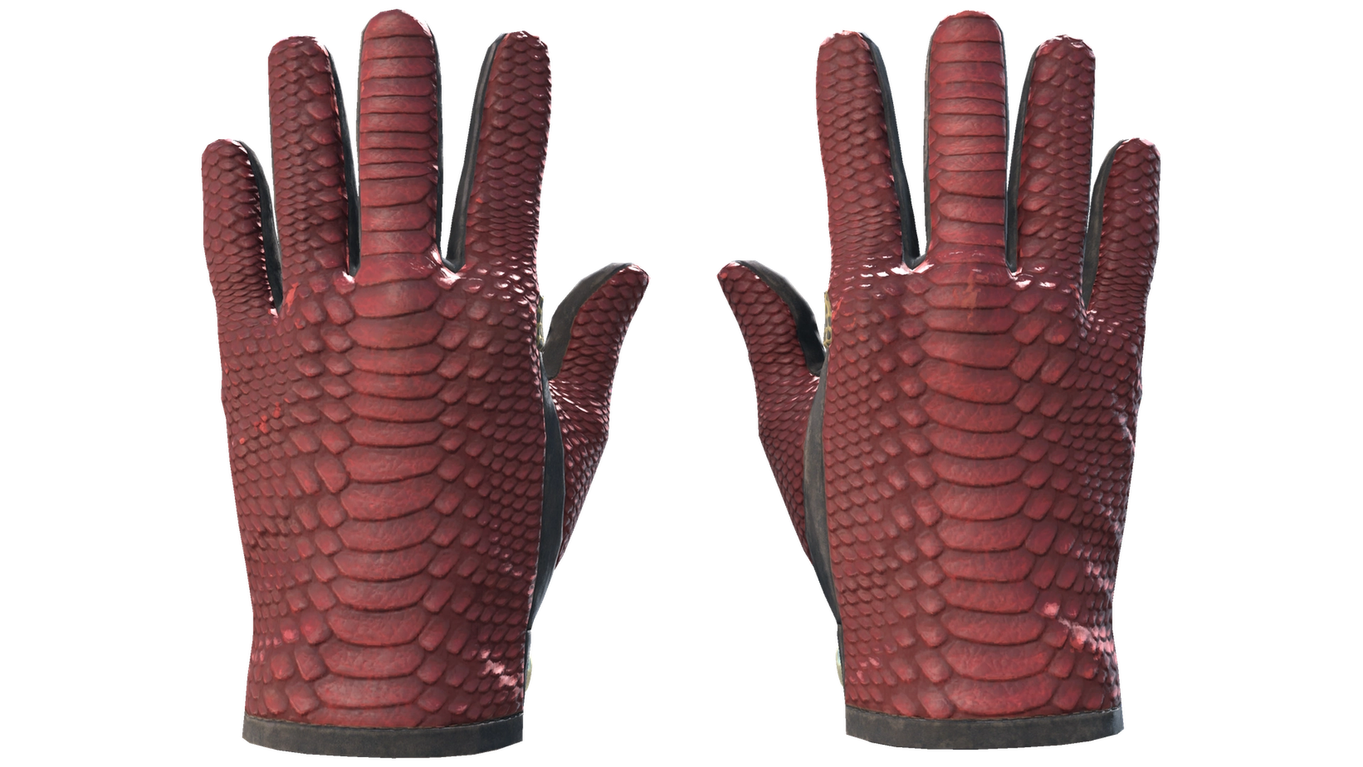 Dragon Fists image