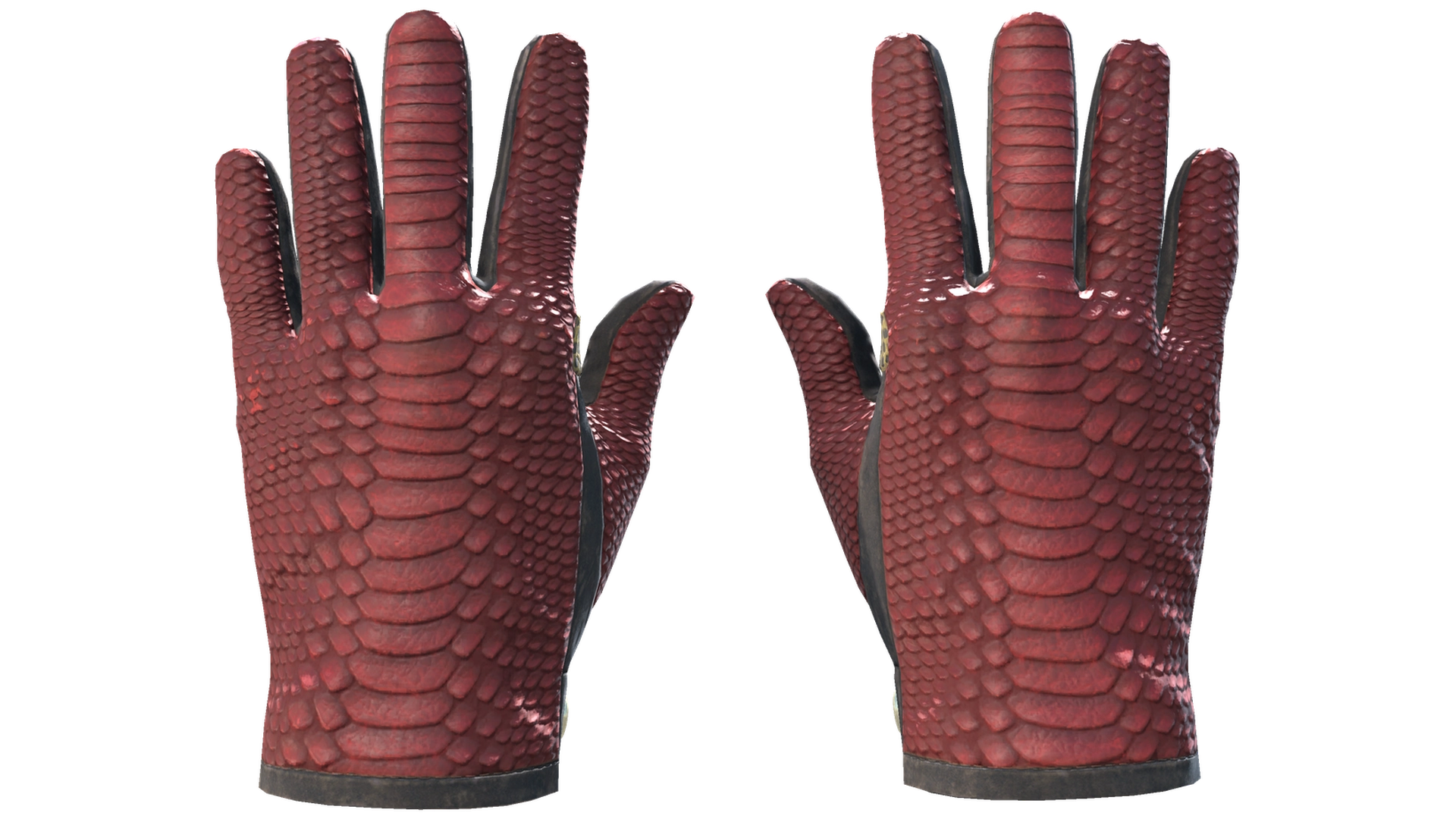 Dragon Fists image