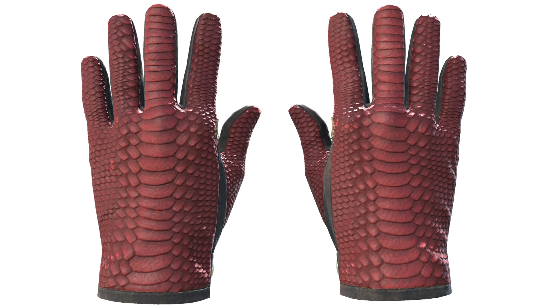 Dragon Fists image