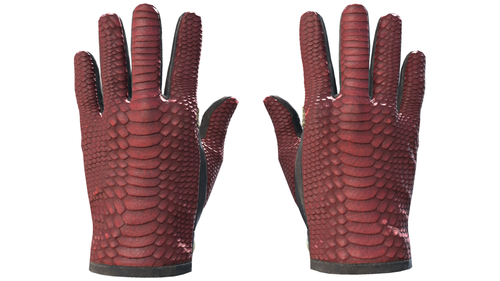 Dragon Fists image