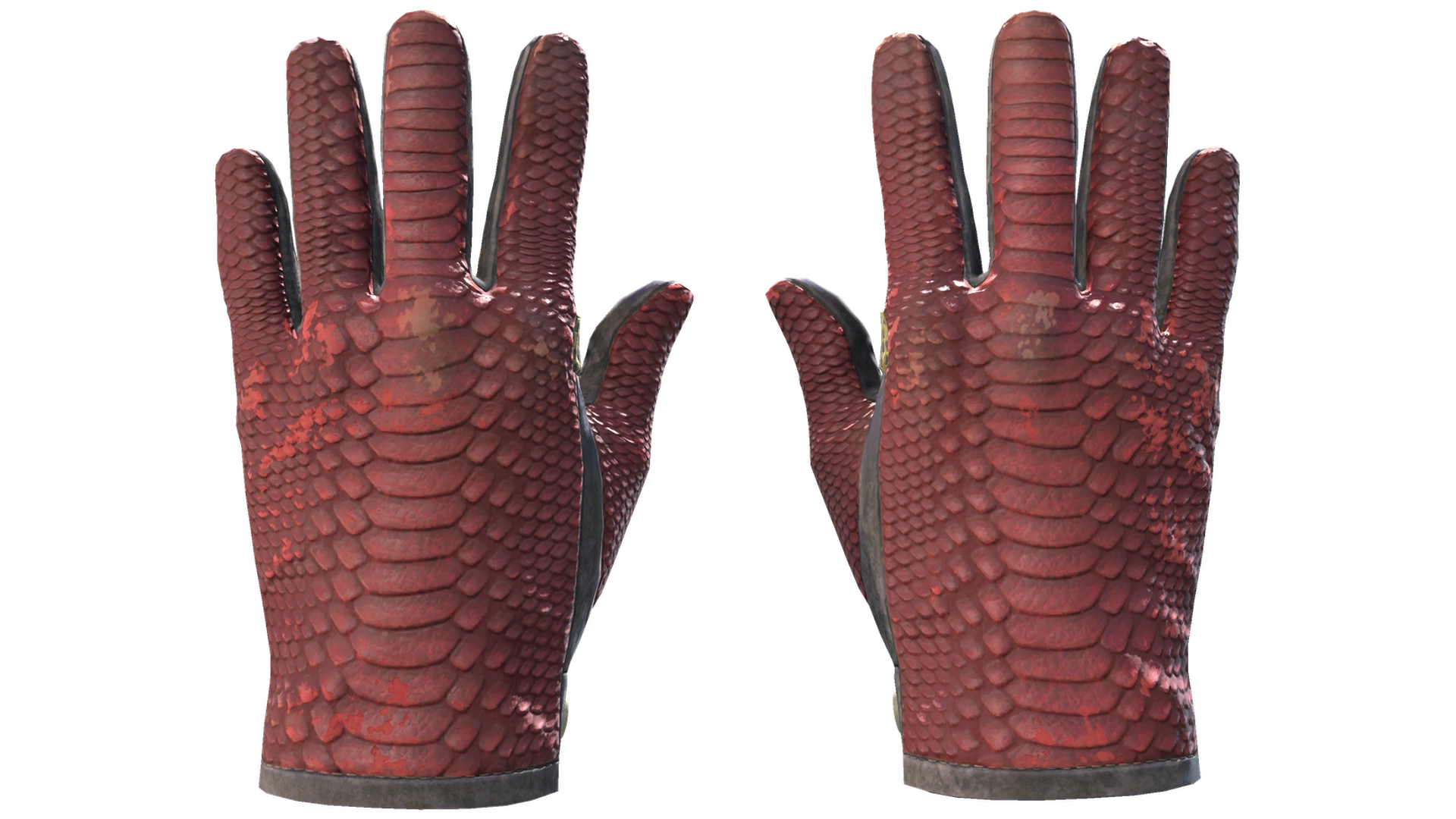 Dragon Fists image