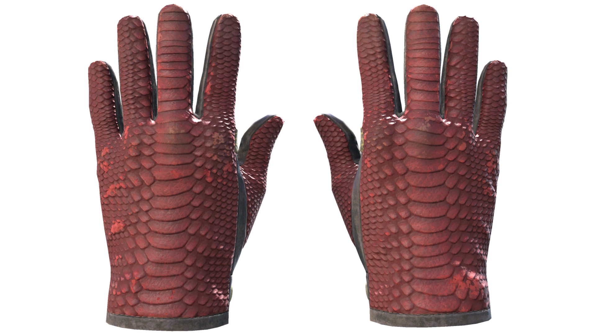 Dragon Fists image