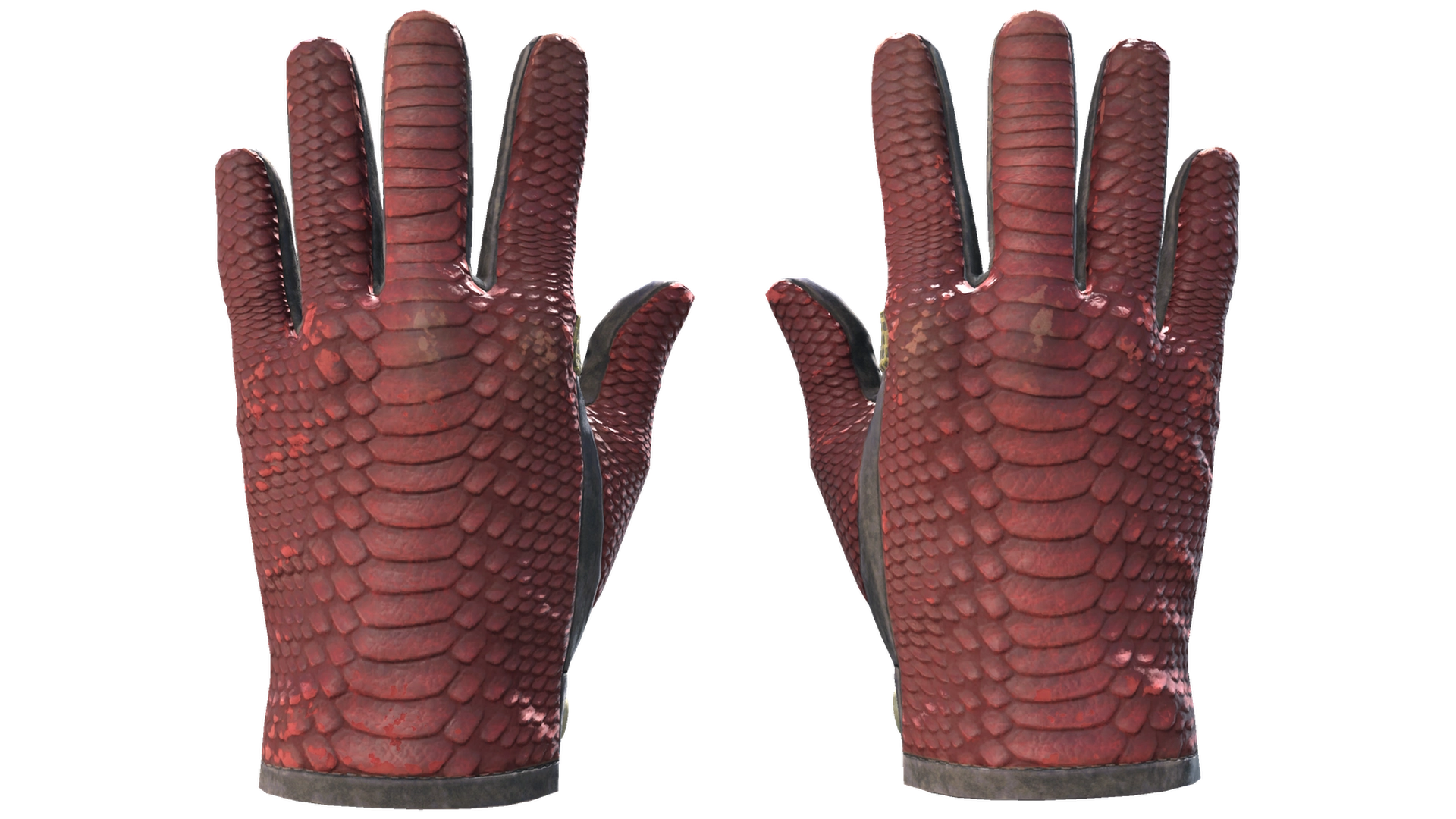 Dragon Fists image