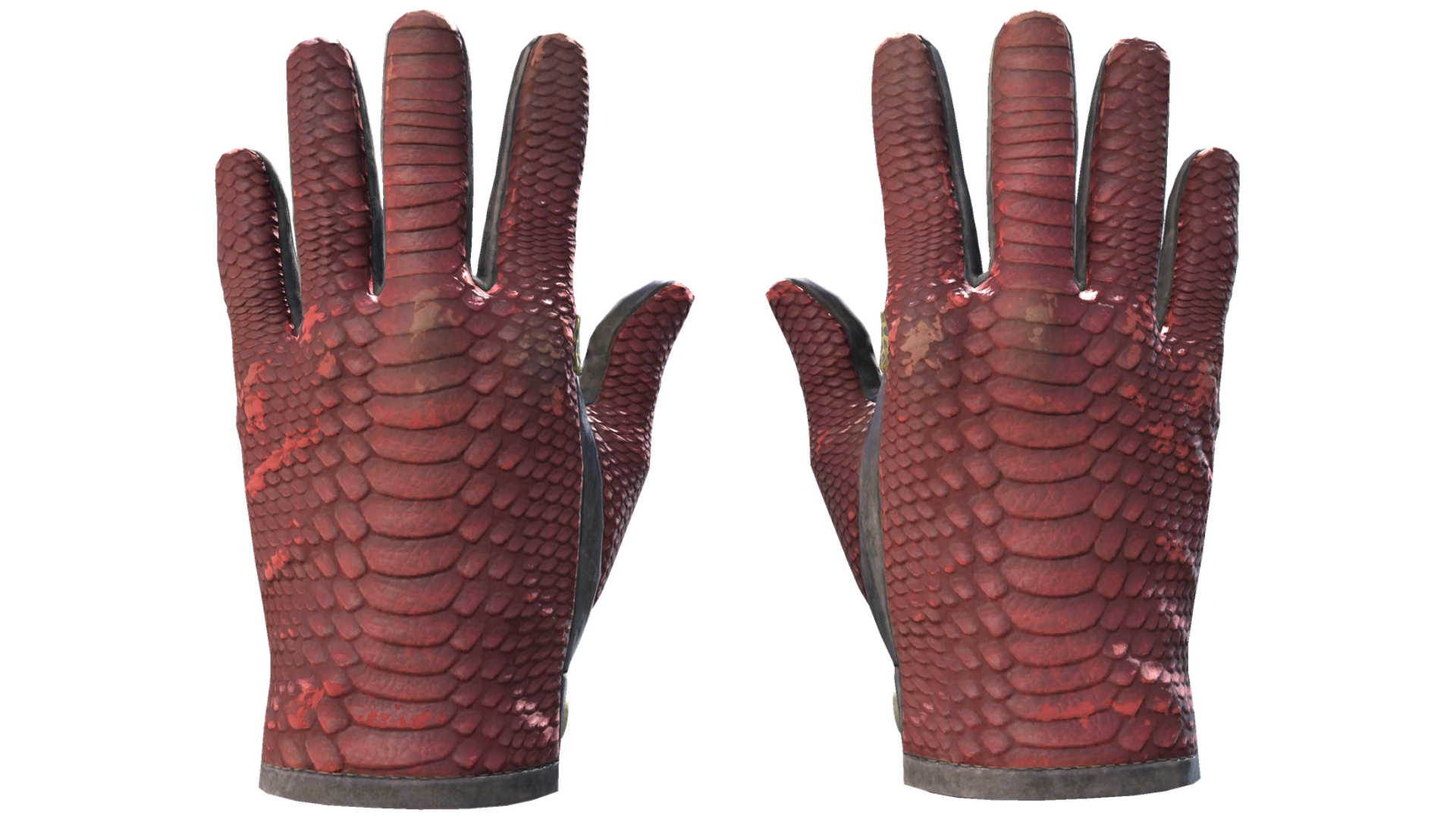 Dragon Fists image