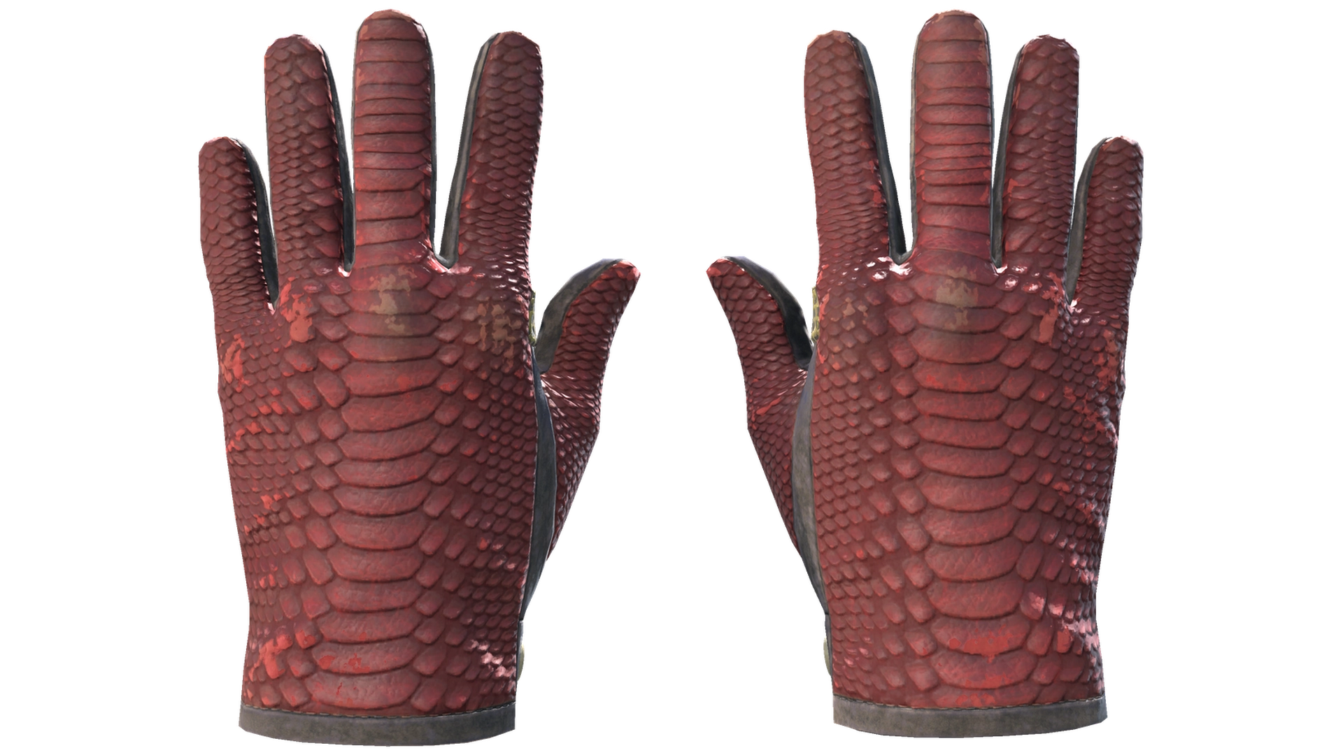 Dragon Fists image