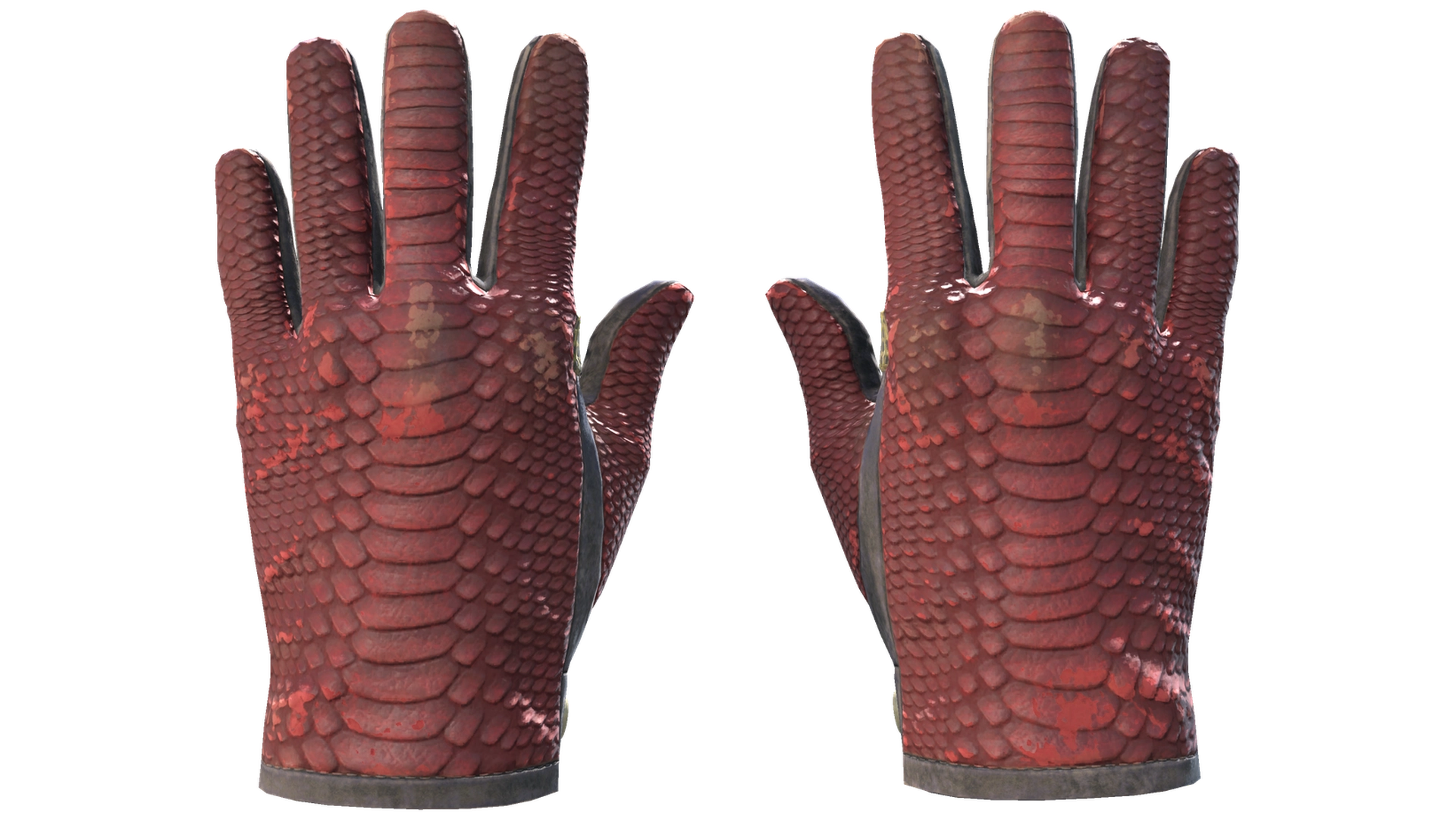 Dragon Fists image
