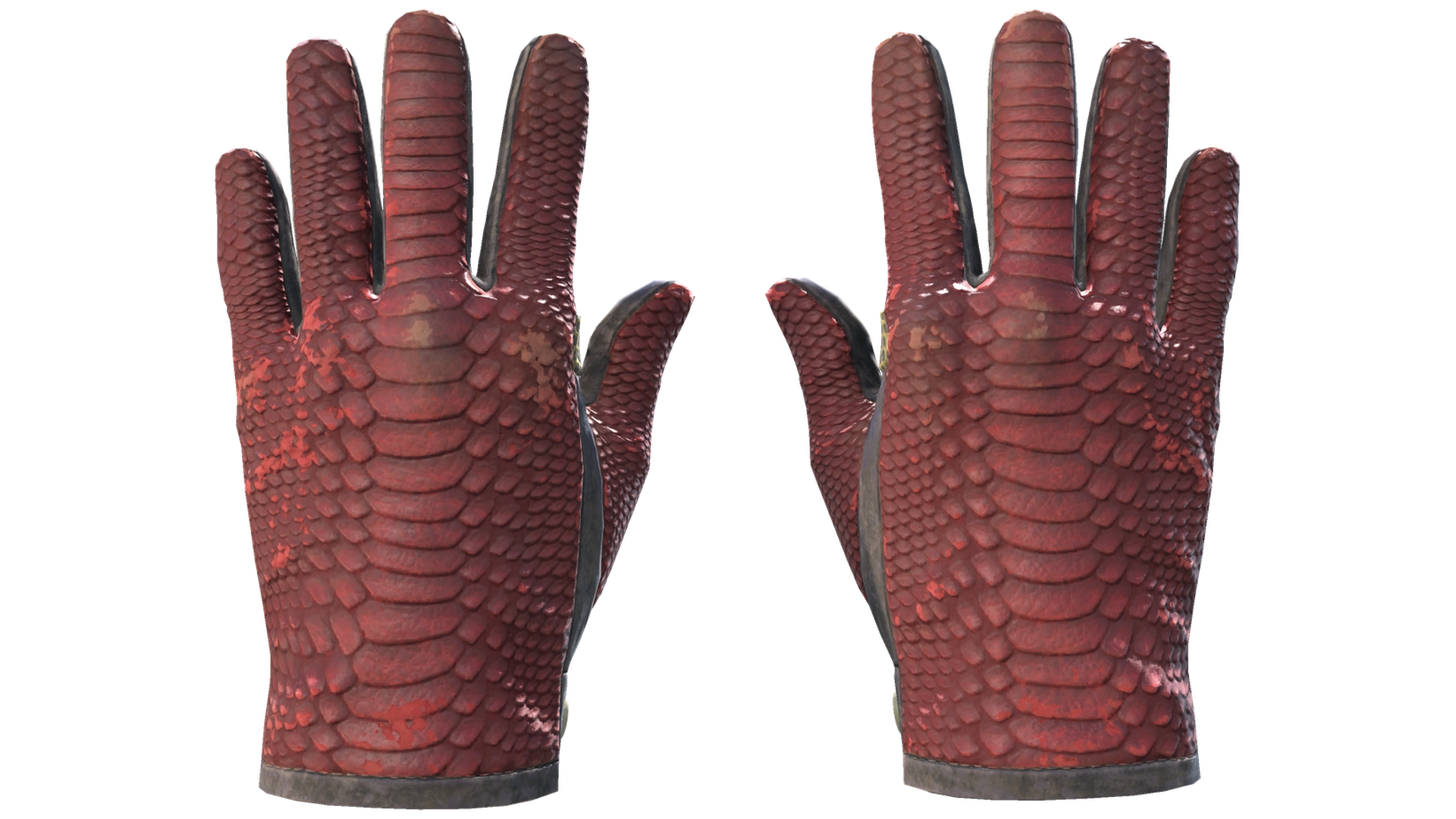Dragon Fists image