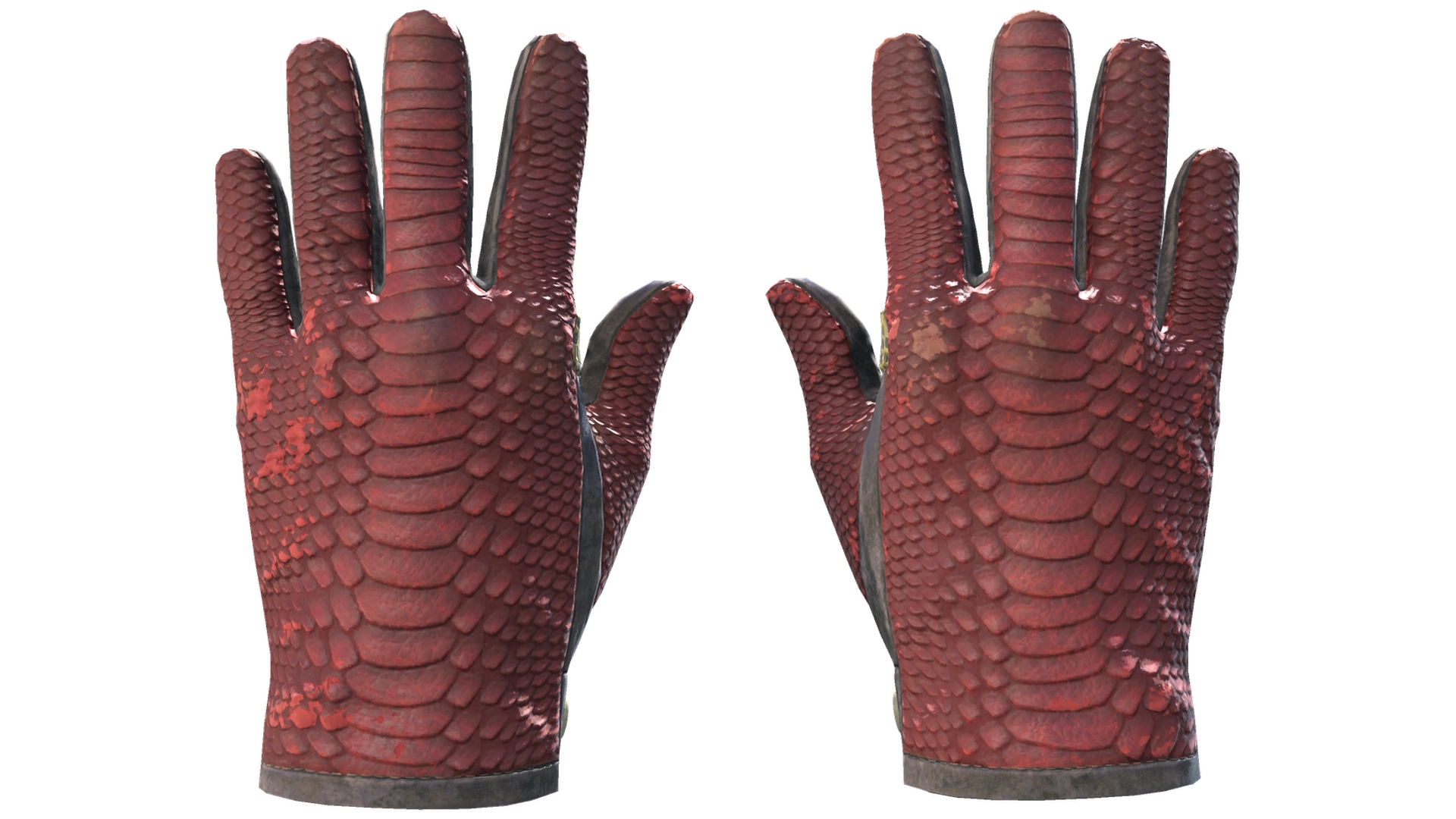 Dragon Fists image
