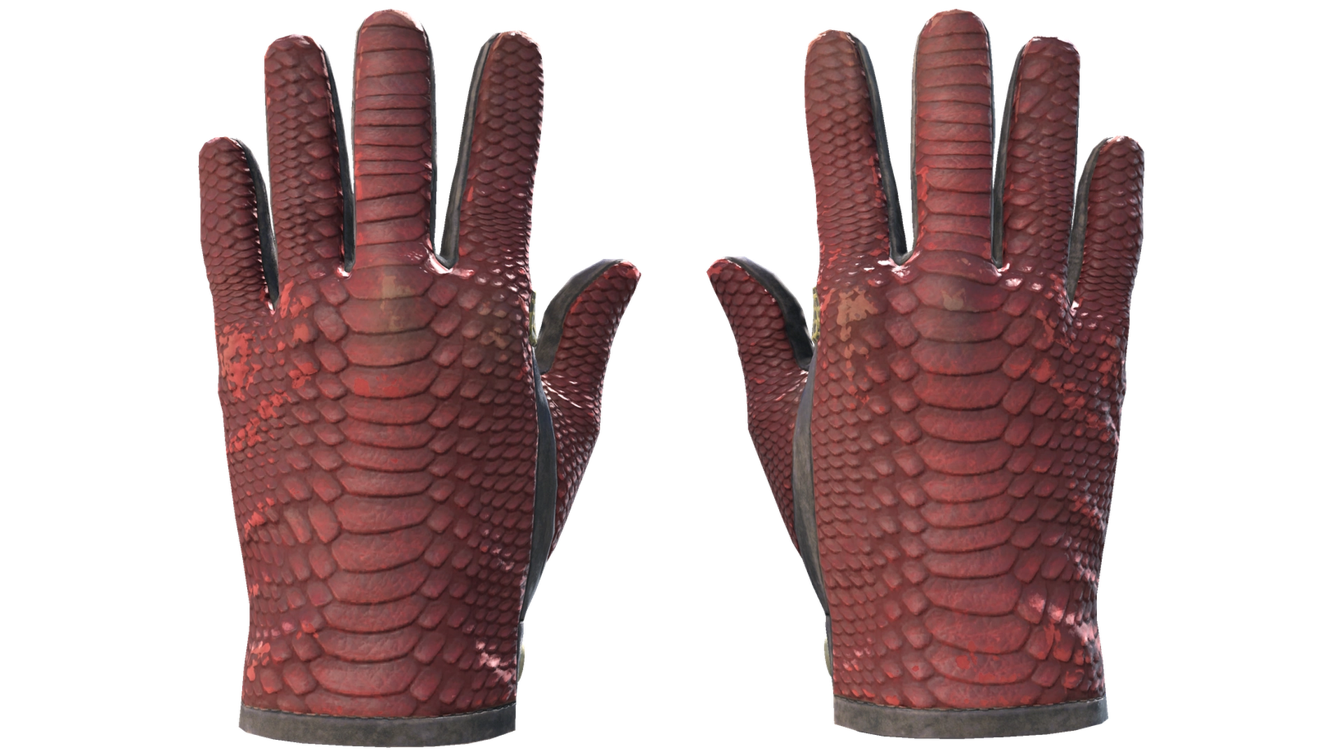 Dragon Fists image