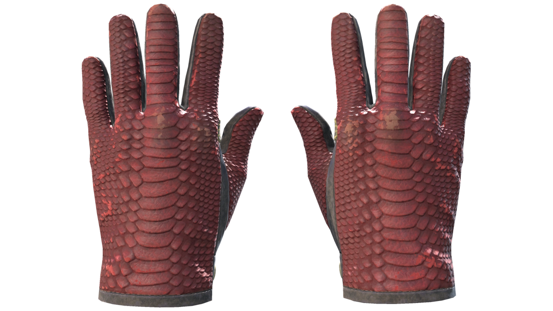 Dragon Fists image