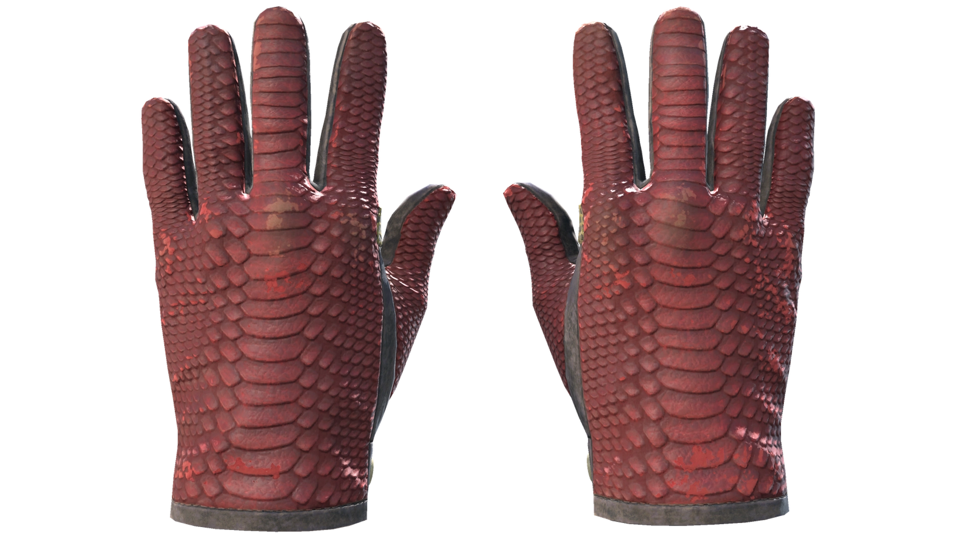 Dragon Fists image