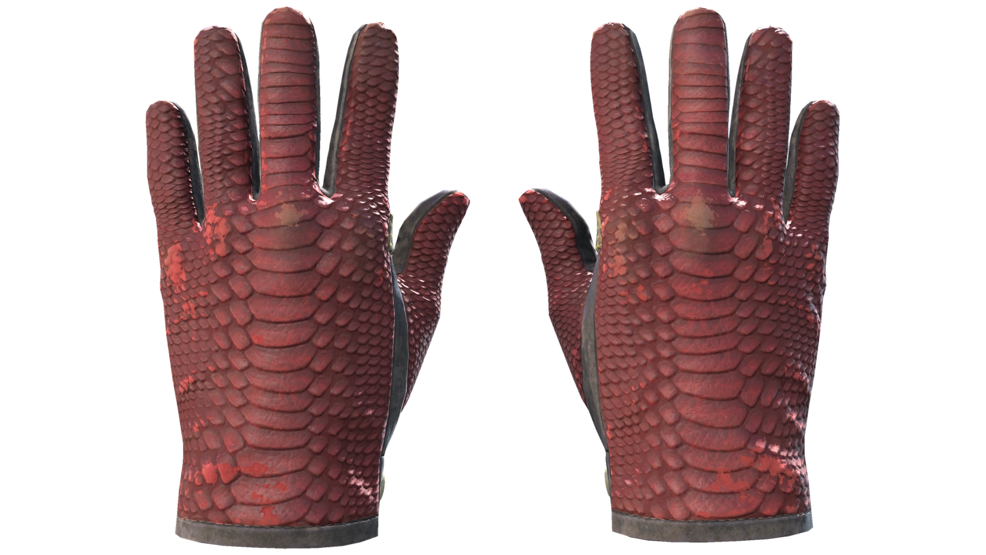 Dragon Fists image