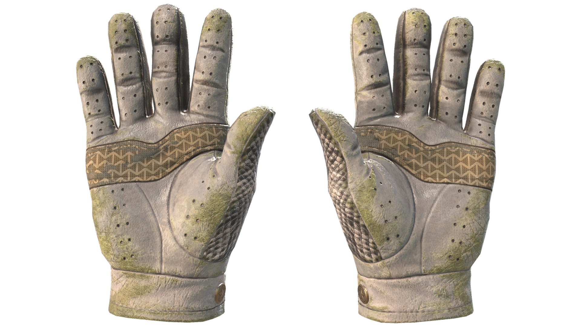 King Snake image