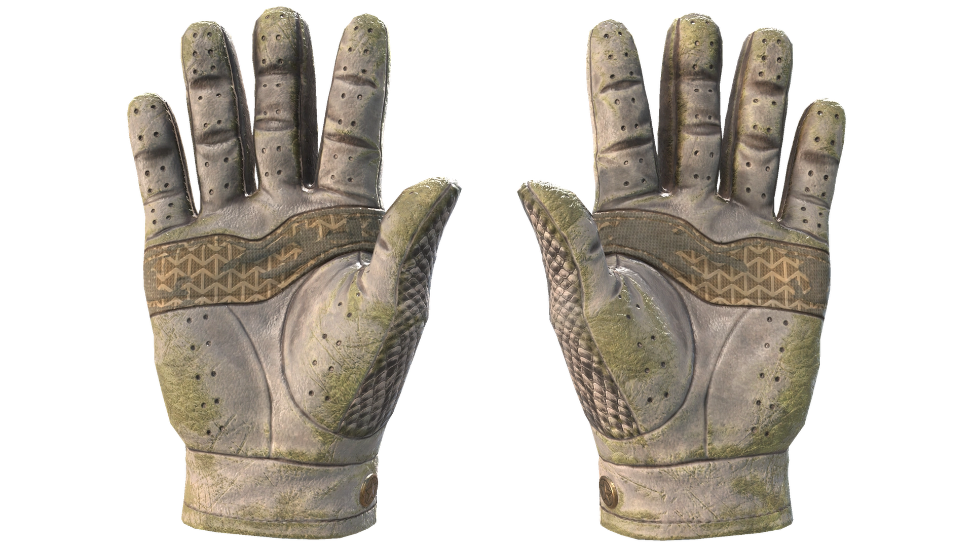 King Snake image