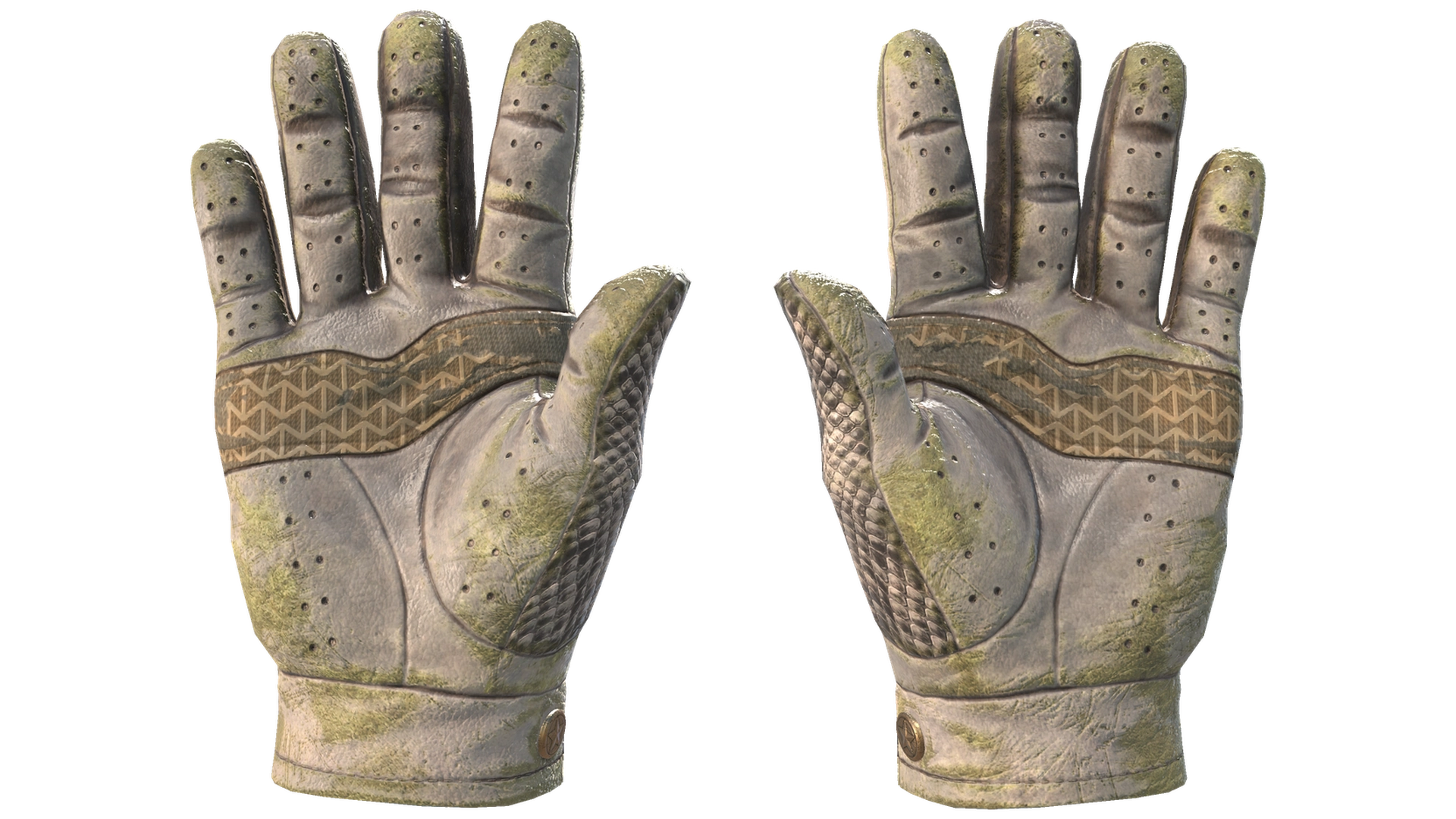 King Snake image