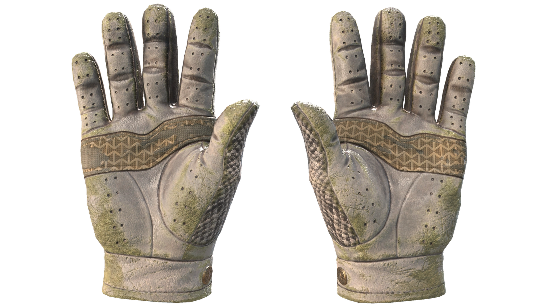 King Snake image