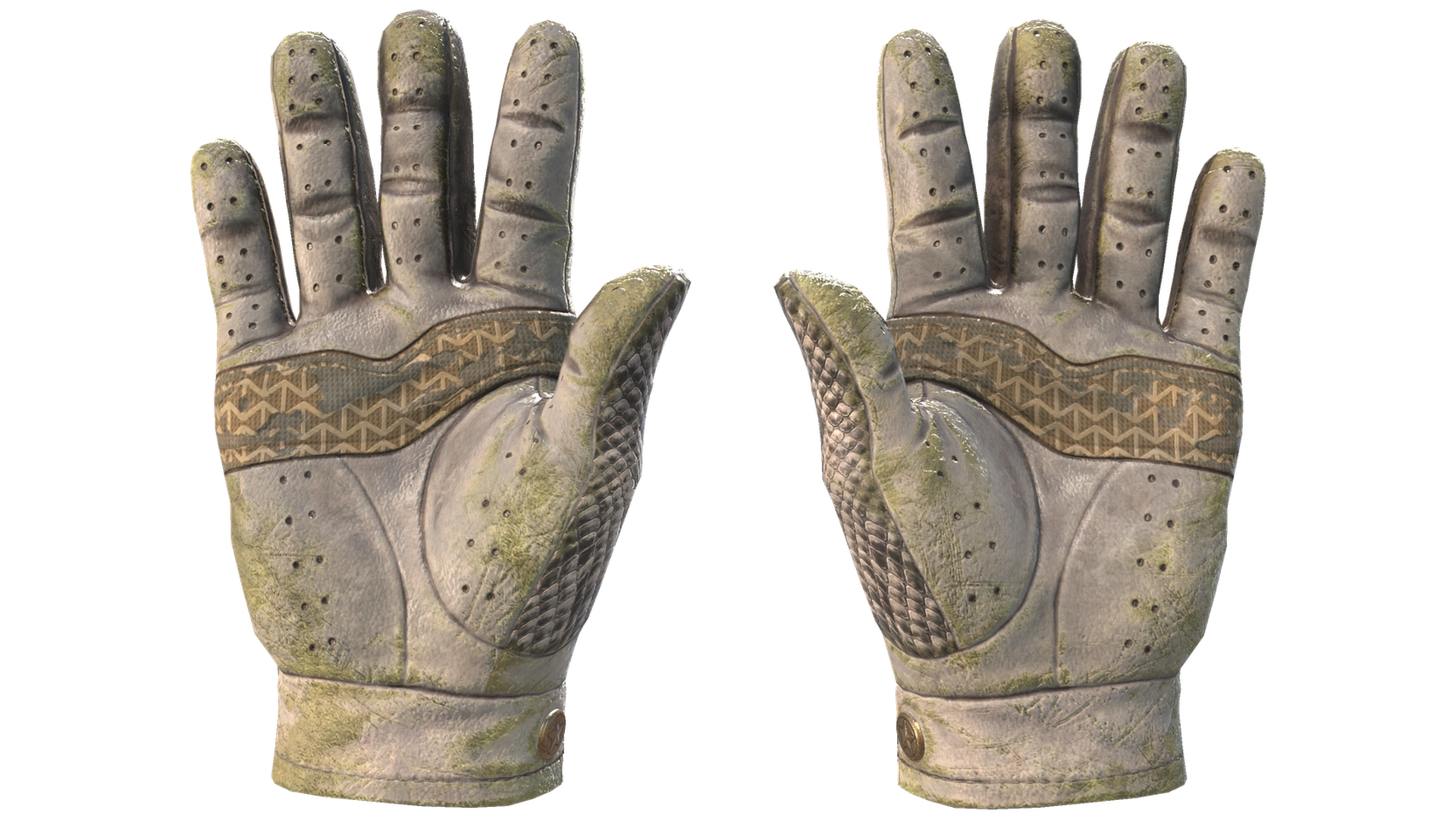 King Snake image