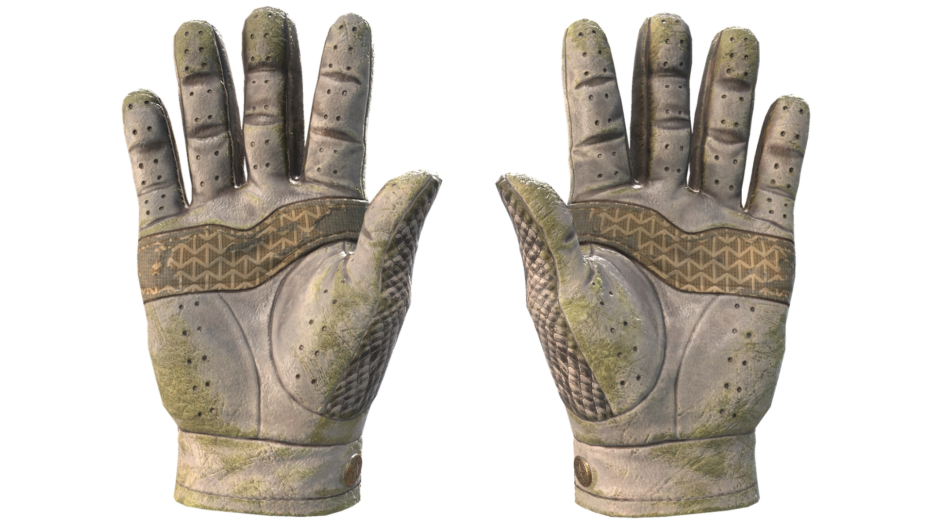 King Snake image