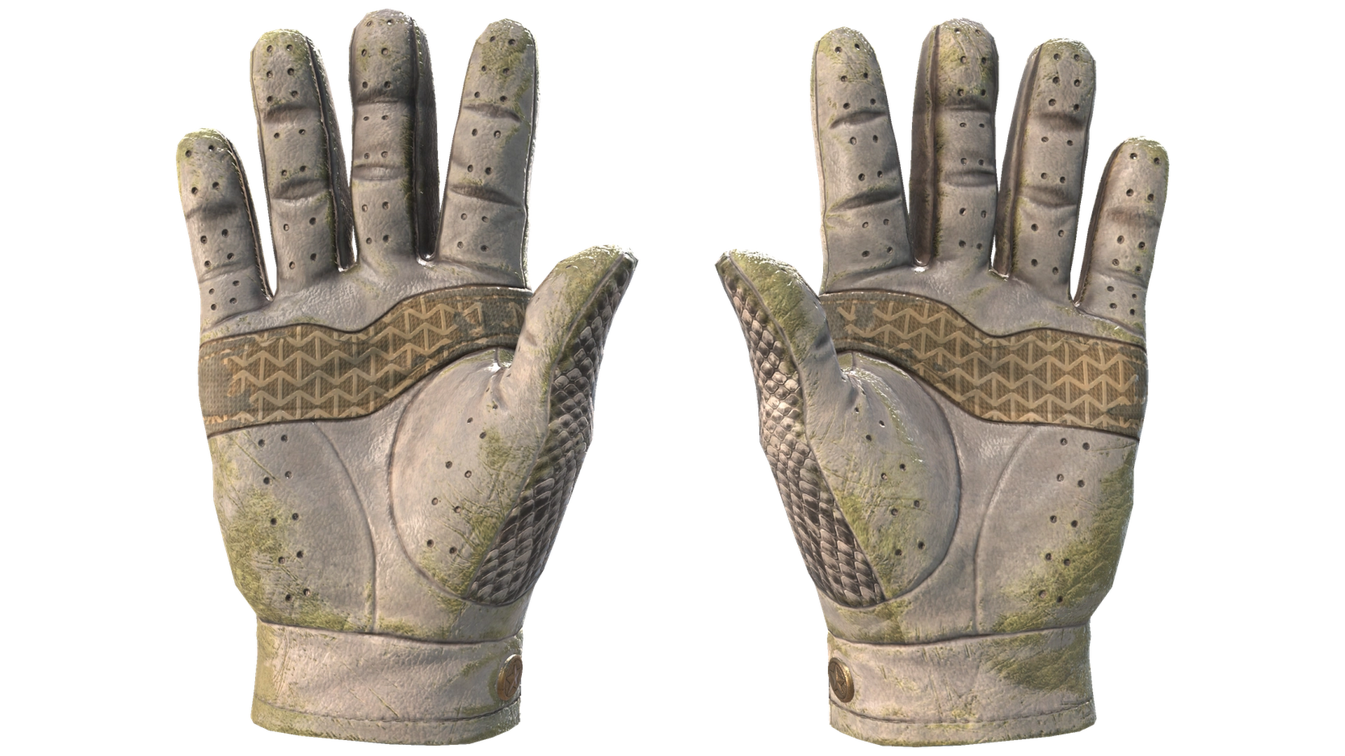 King Snake image