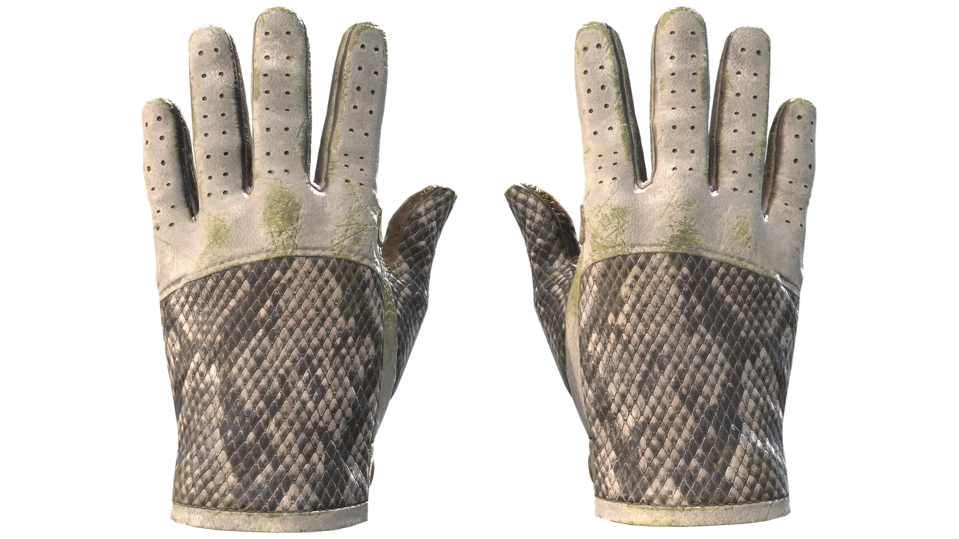 King Snake image