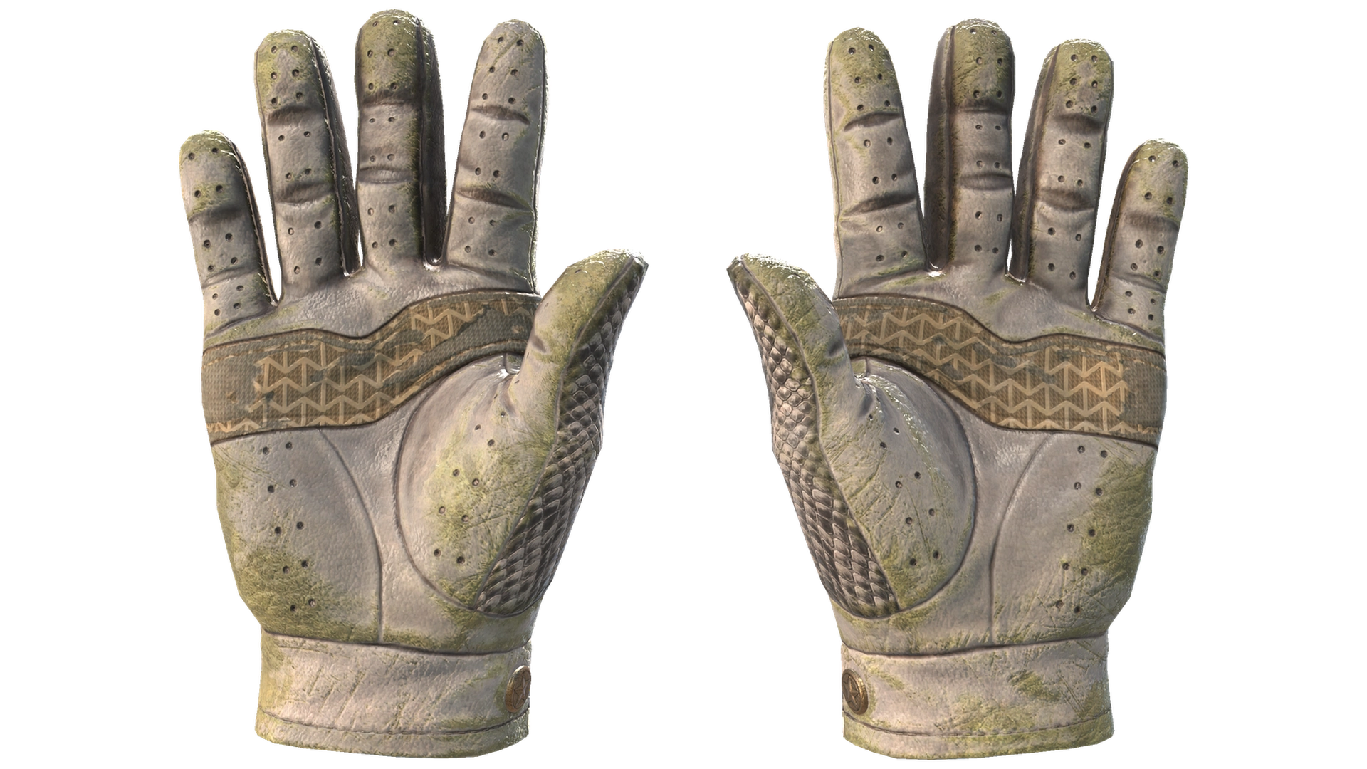 King Snake image