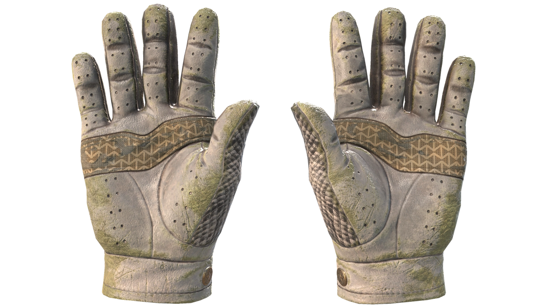King Snake image