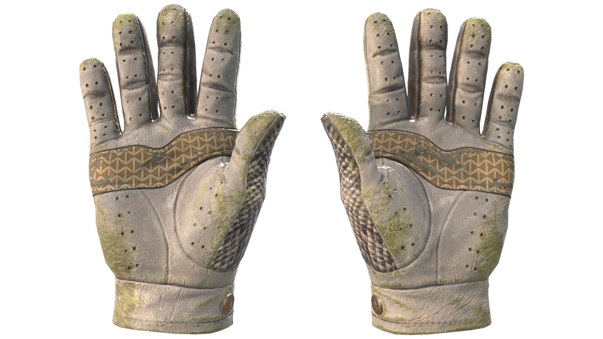 King Snake image