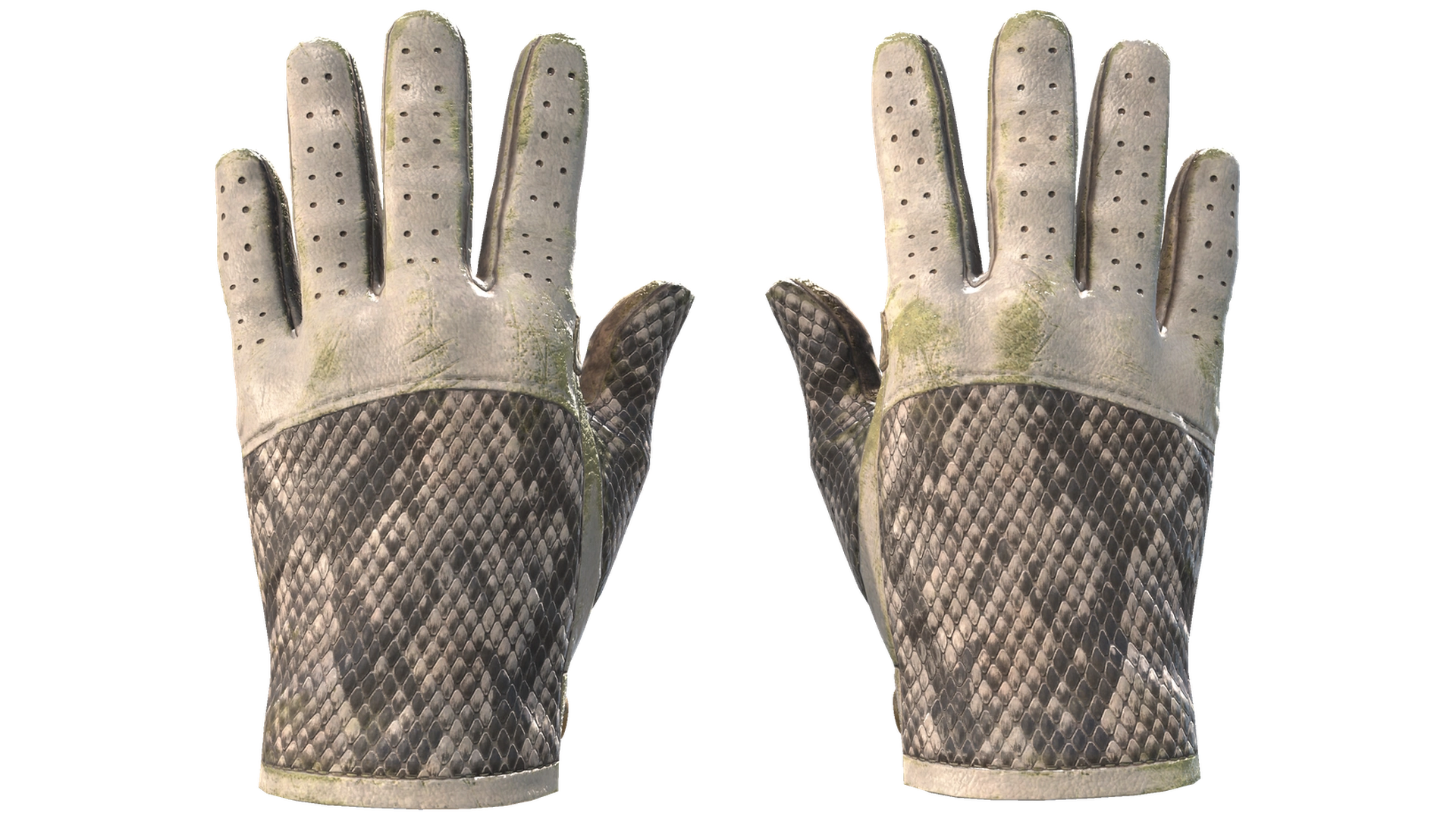 King Snake image