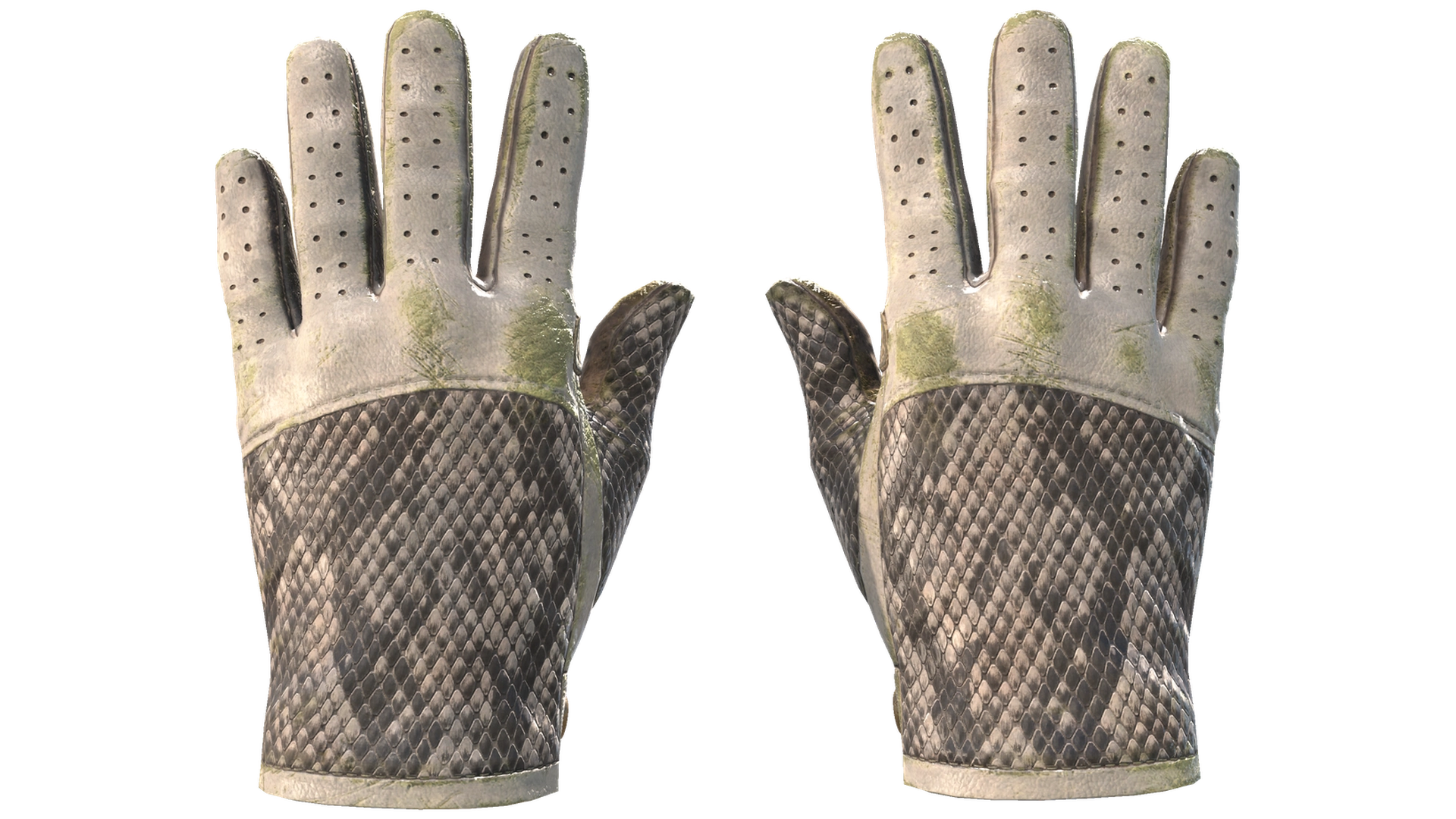 King Snake image