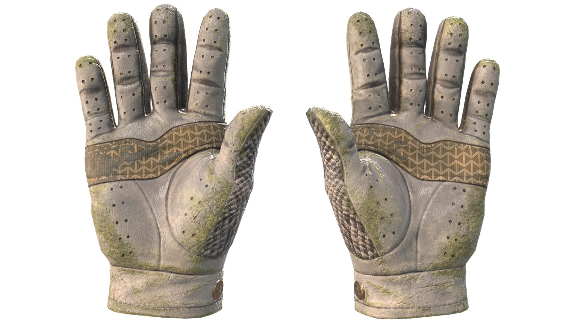 King Snake image