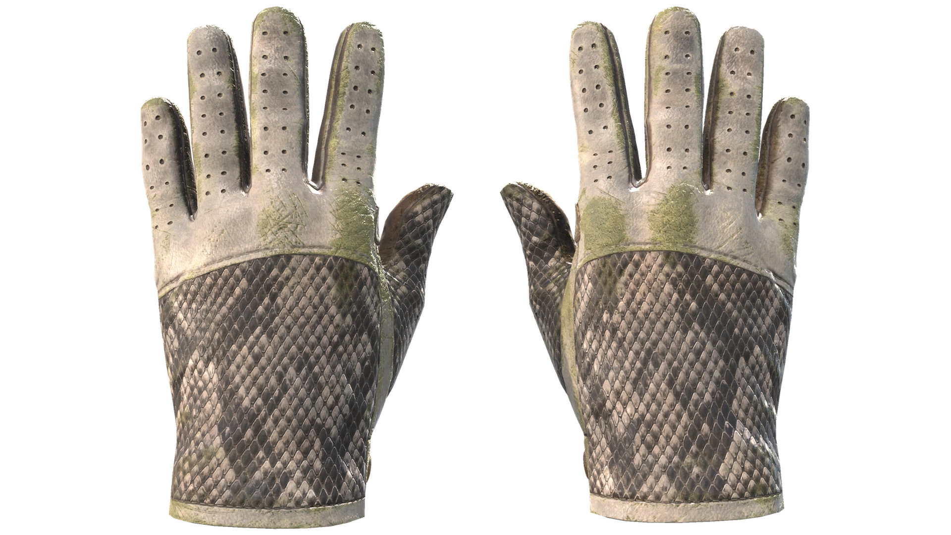 King Snake image