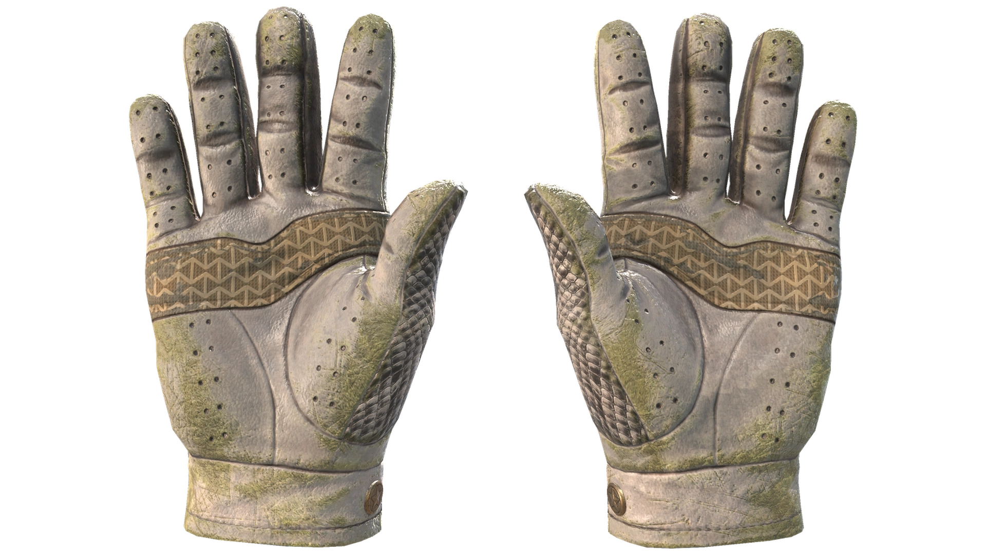 King Snake image