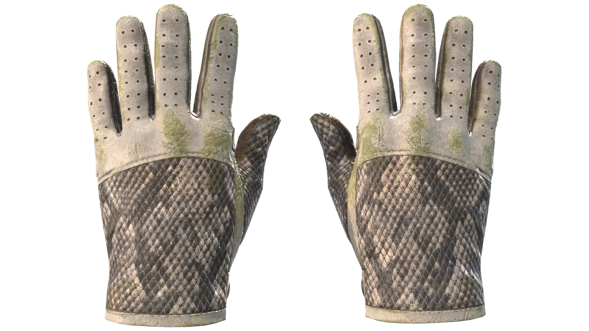King Snake image