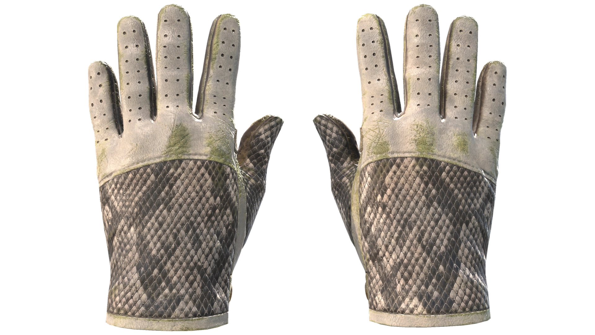 King Snake image