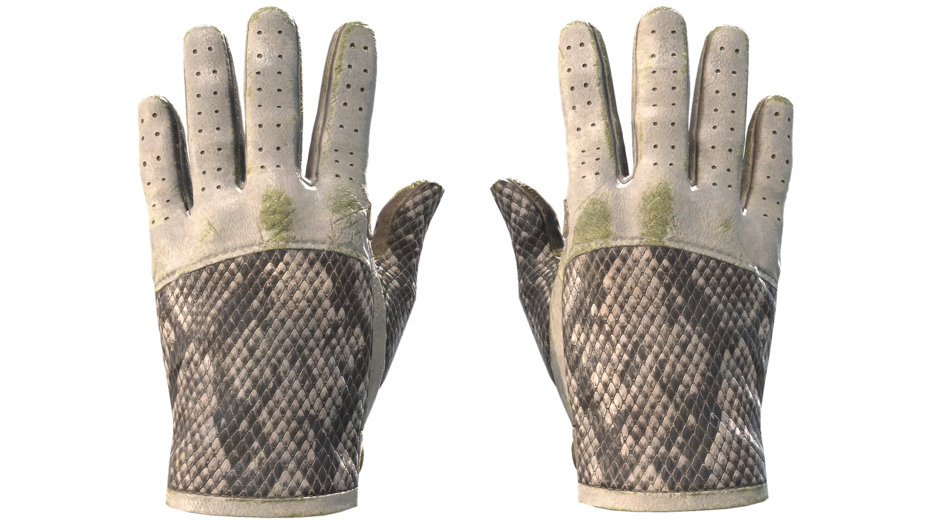 King Snake image