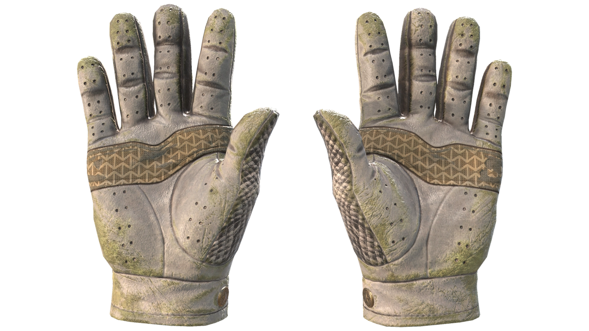 King Snake image