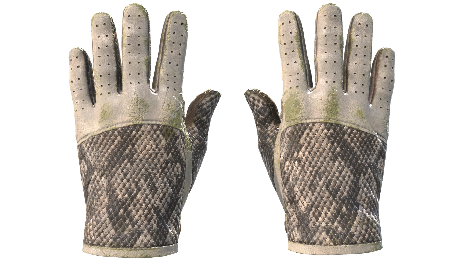 King Snake image
