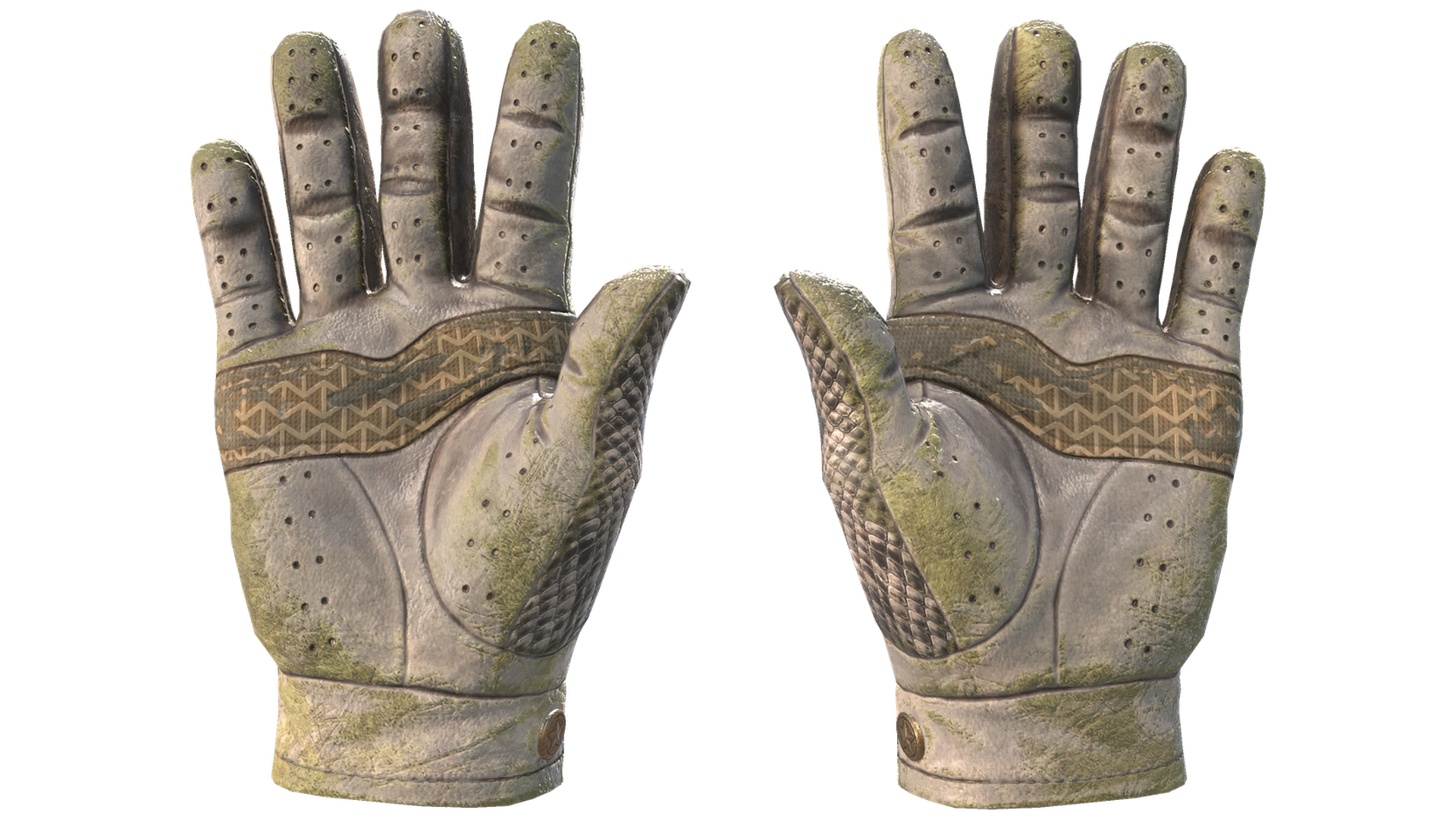 King Snake image