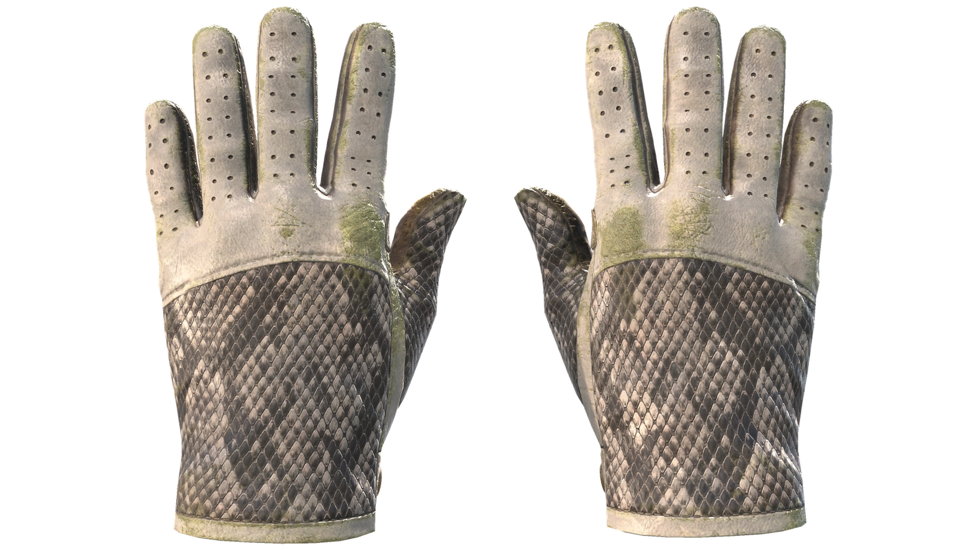 King Snake image