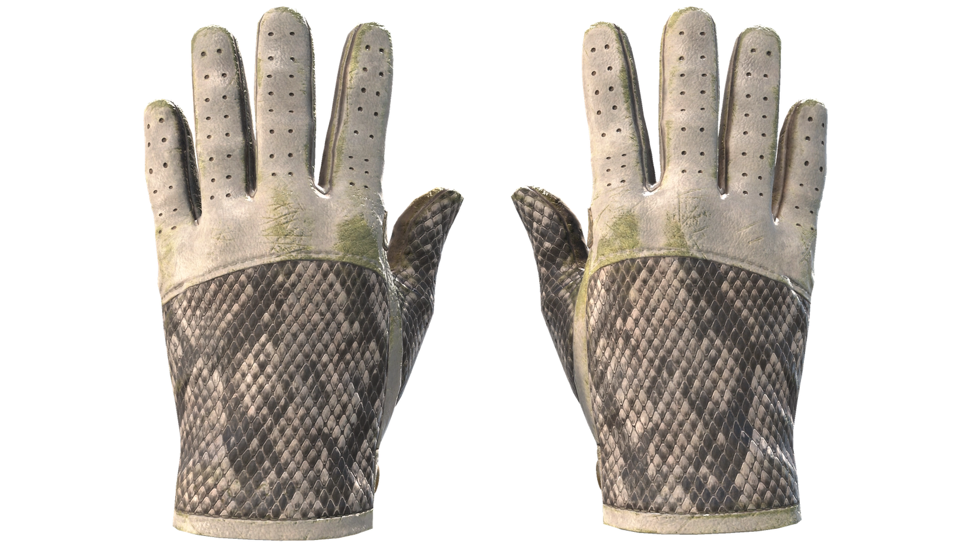 King Snake image