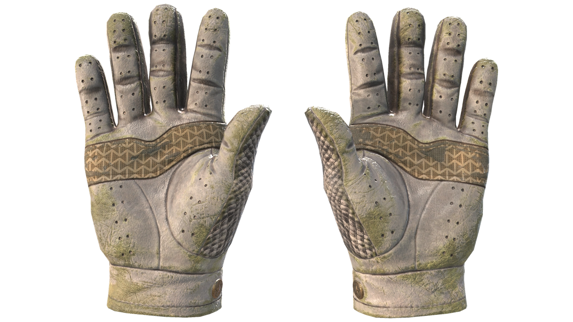King Snake image