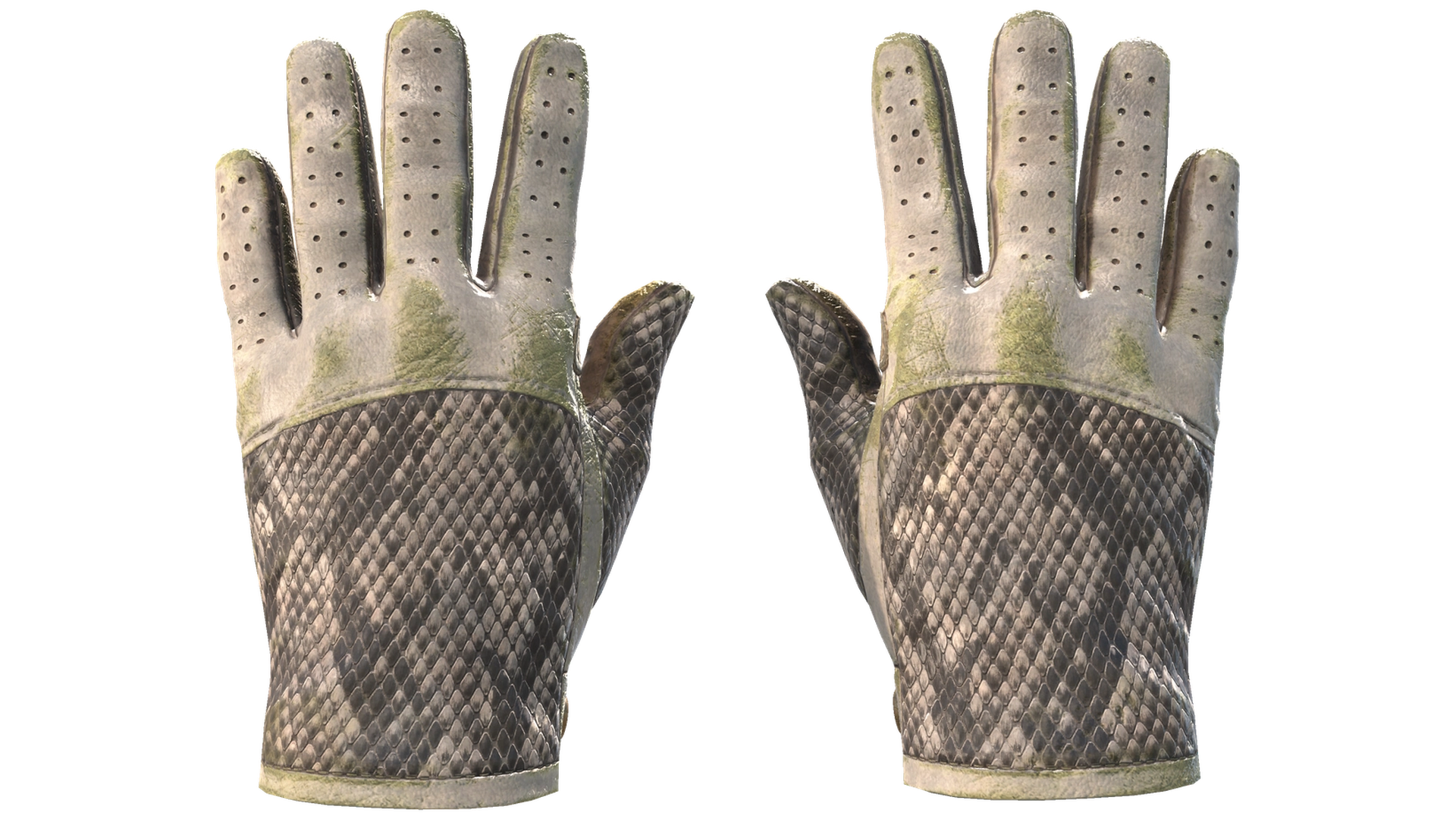 King Snake image