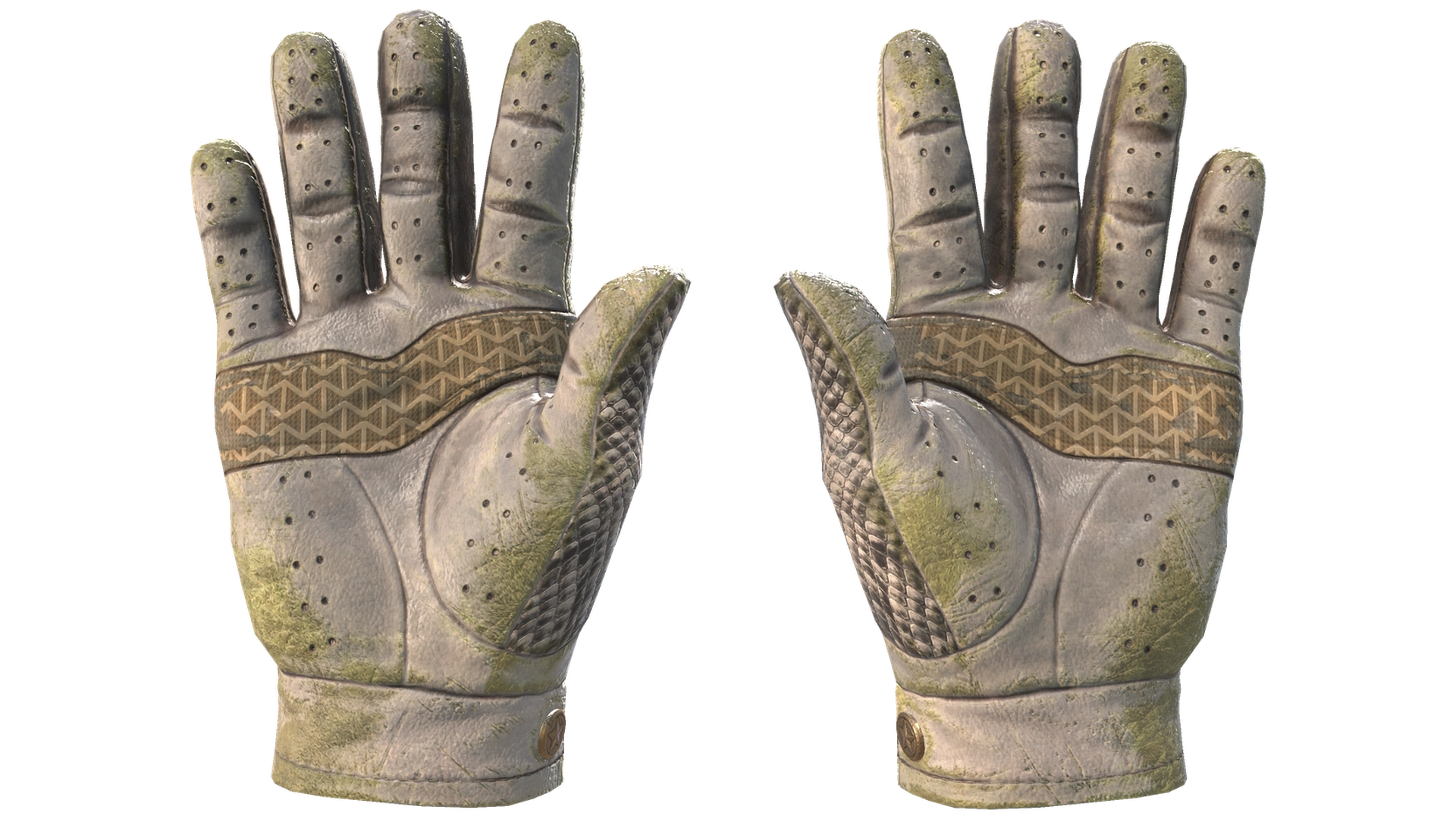 King Snake image