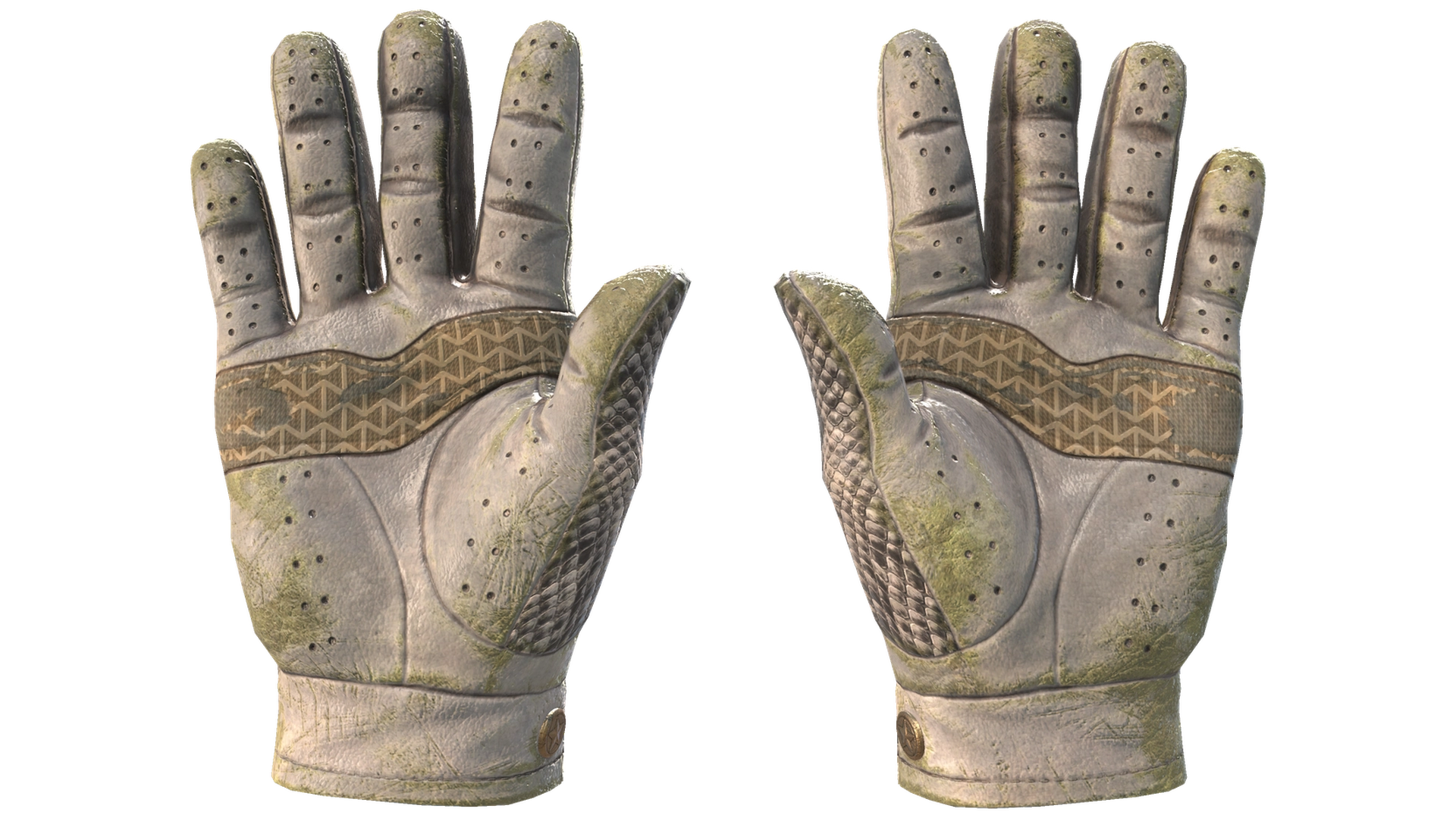 King Snake image