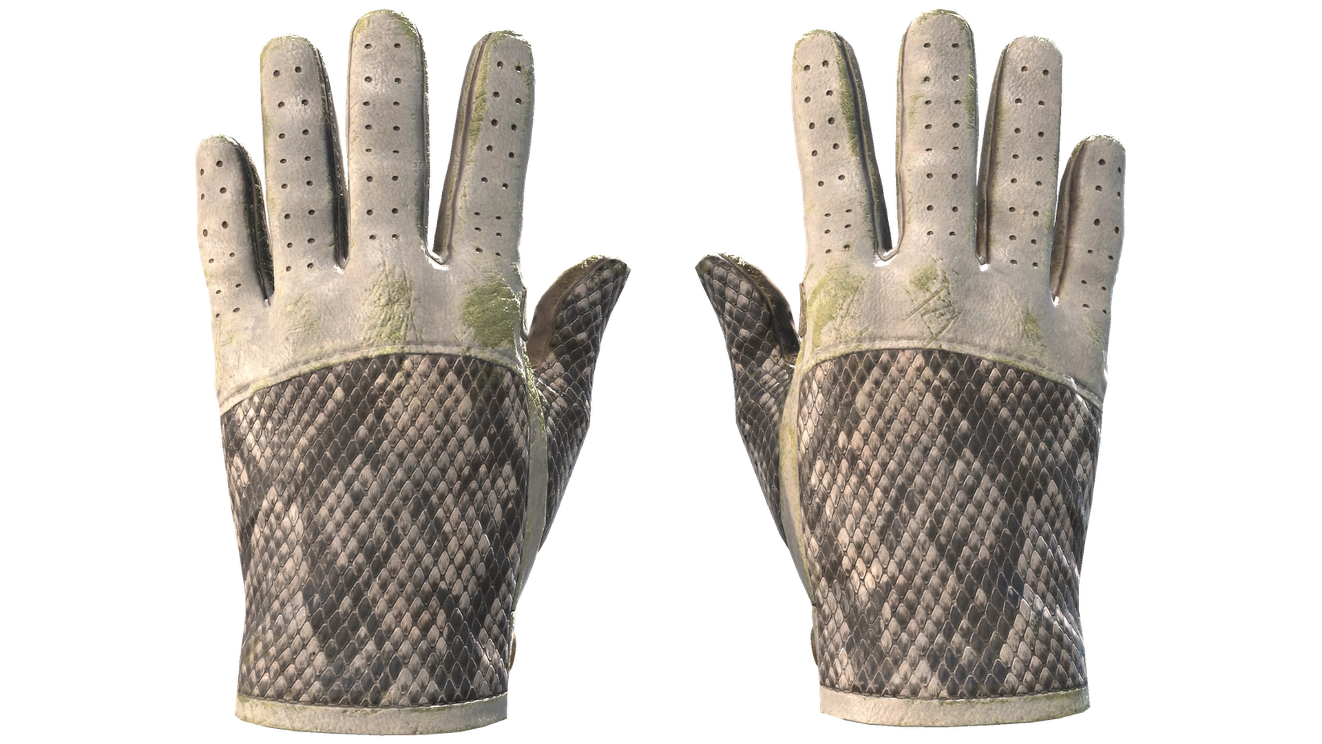 King Snake image